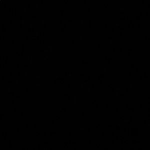 Meet your Posher, Briana